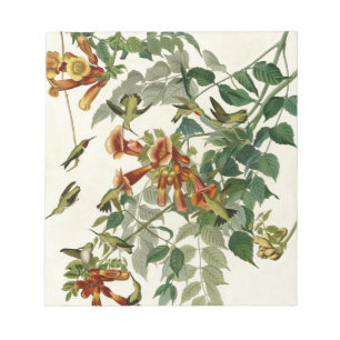 Hummingbird Ruby Throated Audubon Anteckningsblock