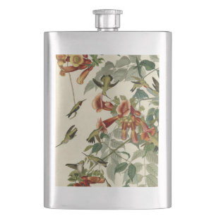 Hummingbird Ruby Throated Audubon Fickplunta