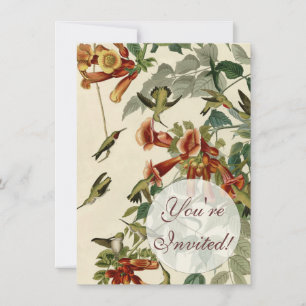 Hummingbird Ruby Throated Audubon Inbjudningar
