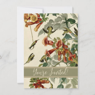 Hummingbird Ruby Throated Audubon Inbjudningar