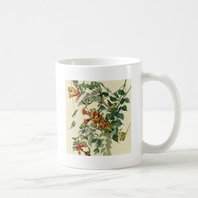 Hummingbird Ruby Throated Audubon Kaffemugg (Höger)