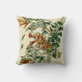 Hummingbird Ruby Throated Audubon Kudde
