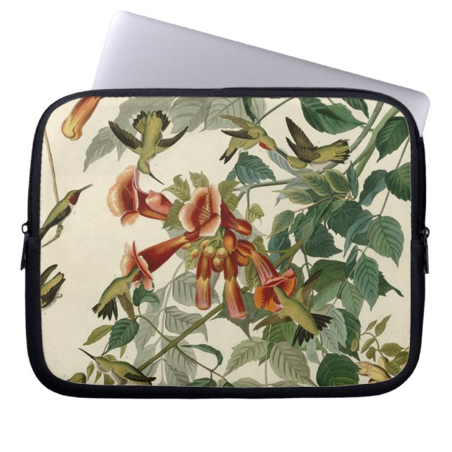 Hummingbird Ruby Throated Audubon Laptop Sleeve (Framsidan)