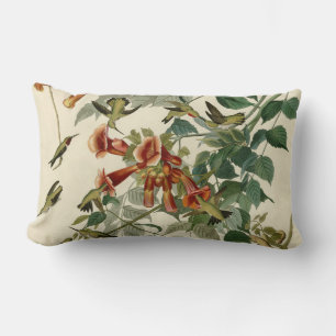 Hummingbird Ruby Throated Audubon Lumbarkudde