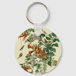 Hummingbird Ruby Throated Audubon Nyckelring
