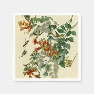 Hummingbird Ruby Throated Audubon Pappersservett