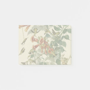 Hummingbird Ruby Throated Audubon Post-it Block