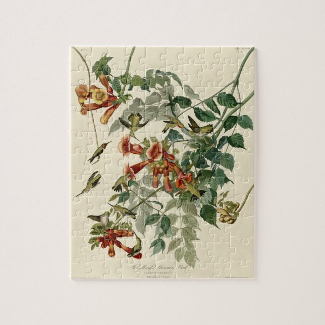 Hummingbird Ruby Throated Audubon Pussel (Vertikal)