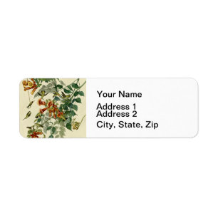 Hummingbird Ruby Throated Audubon Returadress Etikett