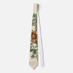 Hummingbird Ruby Throated Audubon Slips