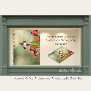 Hummingbird Sanctuary Professionell Fotografering Anteckningsbok