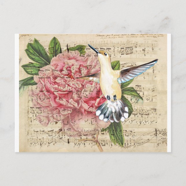 Hummingbird Sång Vykort (Framsida)