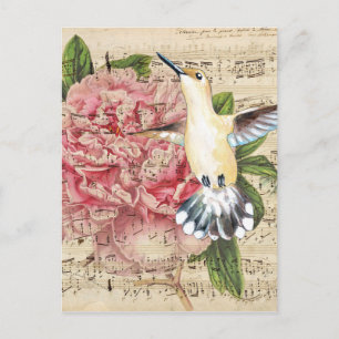 Hummingbird Sång Vykort