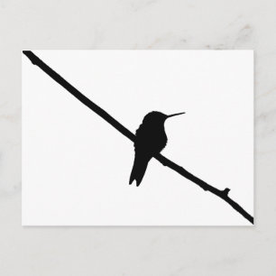 Hummingbird Silhouette Vykort