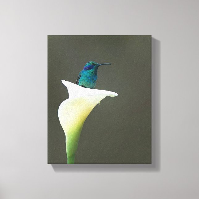 Hummingbird Sitta i en Calla Lilly Canvastryck (Framsida)