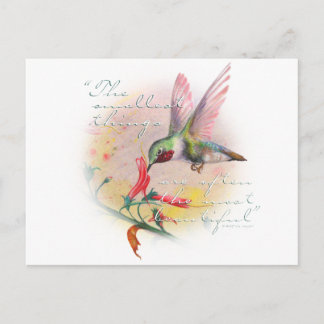 Hummingbird - Små sak är det vackraste. Vykort