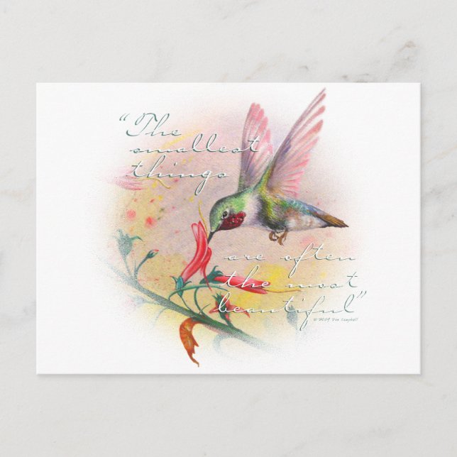 Hummingbird - Små sak är det vackraste. Vykort (Framsida)