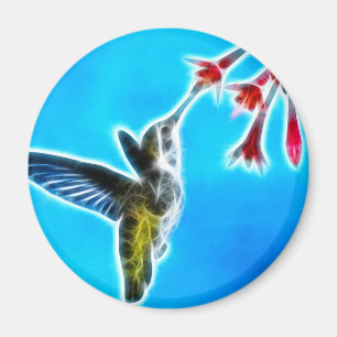 Hummingbird som äter Nectar Magnet