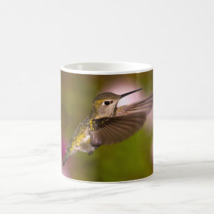 Hummingbird som flyger den kvinnliga Annas Kaffemugg