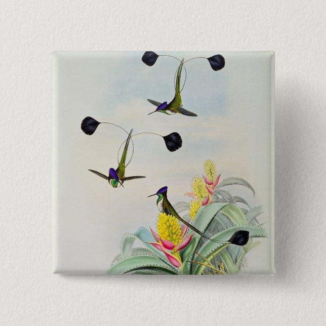 Hummingbird som inristas av Walter och Cohn Knapp (Framsida)