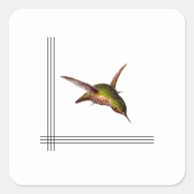 Hummingbird Sticker Fyrkantigt Klistermärke (Framsida)