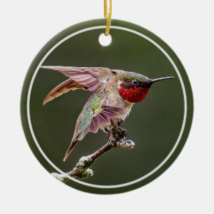 Hummingbird Stretches Julgransprydnad Keramik