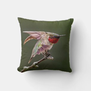 Hummingbird Stretches Kudde