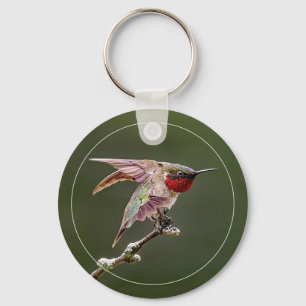 Hummingbird Stretches W/Gräns Nyckelring