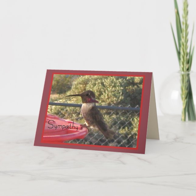 Hummingbird Sympathy Card för alla Kort (Framsida)