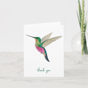 Hummingbird, tack, kort