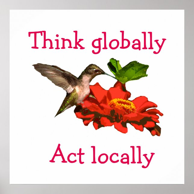 Hummingbird Tänka Global Act Local Red Poster (Framsidan)