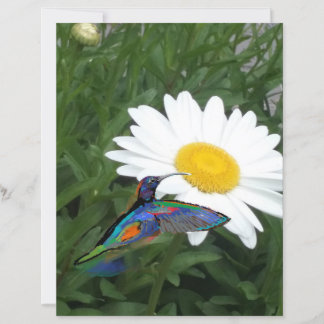 Hummingbird themed Scrapbook paper