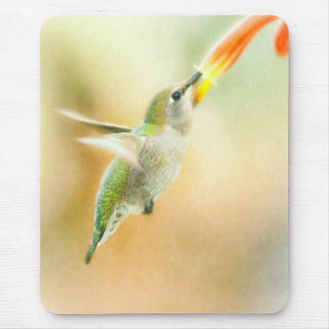 Hummingbird tidigt morgonflyg musmatta (Framsidan)