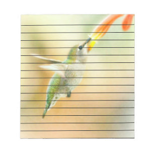 Hummingbird tidigt morgonflygning anteckningsblock