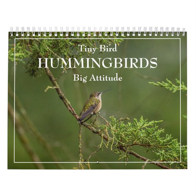 Hummingbird Tiny Bird Big Attitude Calendar Kalender (Omslag)