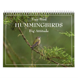 Hummingbird Tiny Bird Big Attitude Calendar Kalender