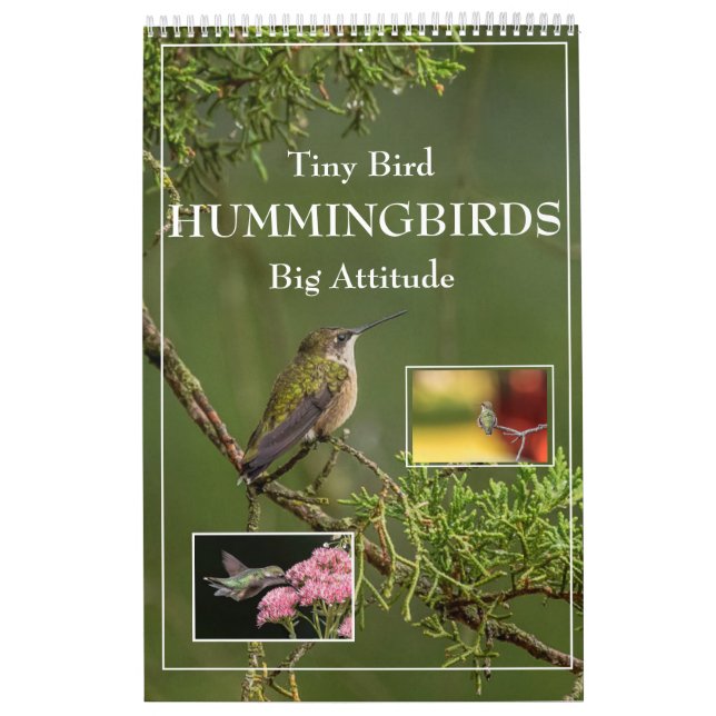 Hummingbird Tiny Bird Big Attitude Calendar Kalender (Omslag)