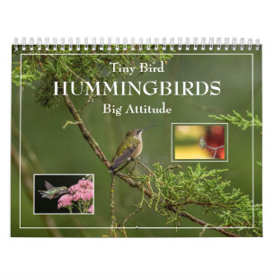 Hummingbird Tiny Bird Big Attitude Calendar Kalender