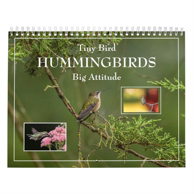 Hummingbird Tiny Bird Big Attitude Calendar Kalender (Omslag)