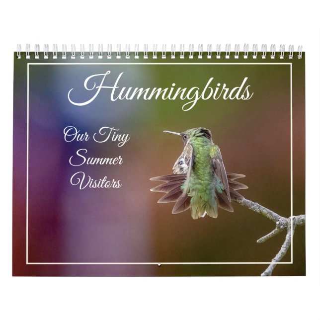 Hummingbird, Tiny Summer Visitors Calendar Kalender (Omslag)