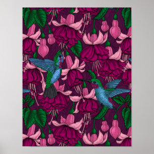 Hummingbird-trädgård Poster