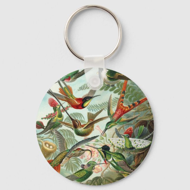Hummingbird (Trochilidae) av Haeckel Keychain Nyckelring (Framsida)