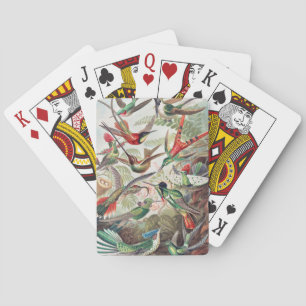 Hummingbird, Trochilidae Kolibris av Ernst Haeckel Casinokort