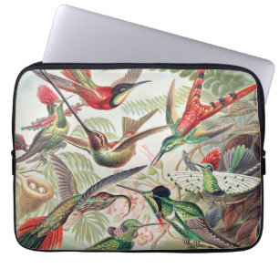 Hummingbird, Trochilidae Kolibris av Ernst Haeckel Laptop Fodral