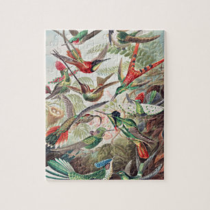 Hummingbird, Trochilidae Kolibris av Ernst Haeckel Pussel