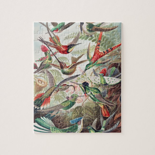 Hummingbird, Trochilidae Kolibris av Ernst Haeckel Pussel (Vertikal)