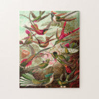 Hummingbird (Trochilidae) Nature Puzzle