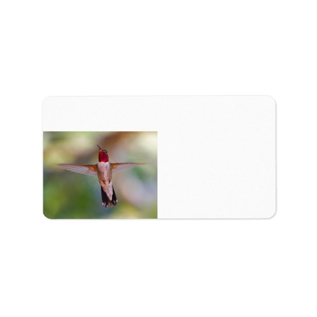 Hummingbird under flygning adressetikett (Framsidan)
