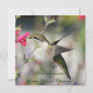 Hummingbird under flygning inbjudningar