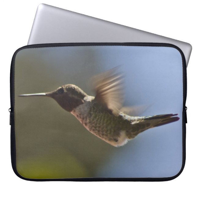 Hummingbird under flygning laptop fodral (Framsidan)